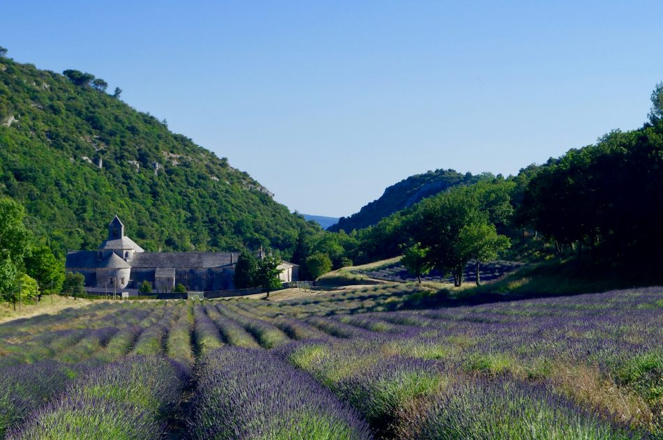 paysage de Provence